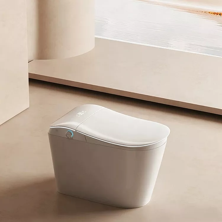 浄水フィルターと足で流す水を内蔵したスマートトイレ